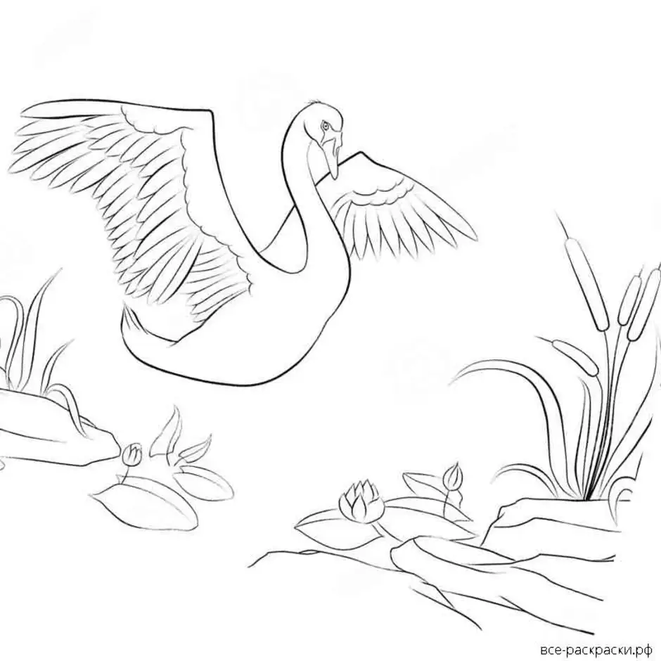 Нарисовать рисунок лебедушка. Раскраска Дикие лебеди Андерсен. Андерсен Дикие лебеди нарисовать иллюстрацию. Раскраски сказки Андерсена Дикие лебеди. Иллюстрации к сказке Дикие лебеди для срисовки.