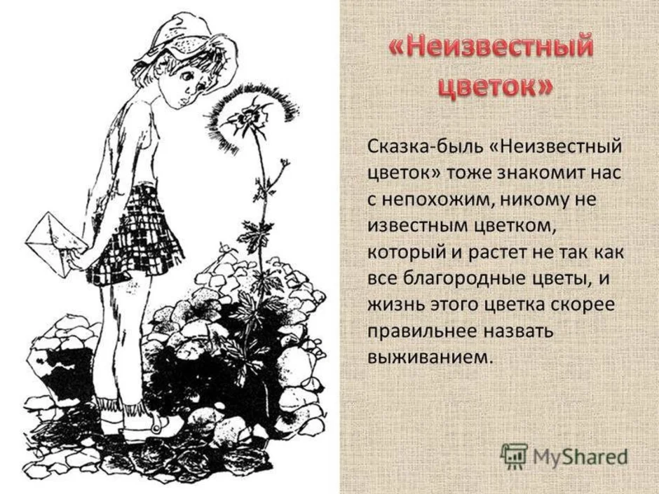 Произведение цветочек. Неизвестный цветок. Сказка неизвестный цветок. Иллюстрация к сказке неизвестный цветок. Рисунок по произведению неизвестный цветок.