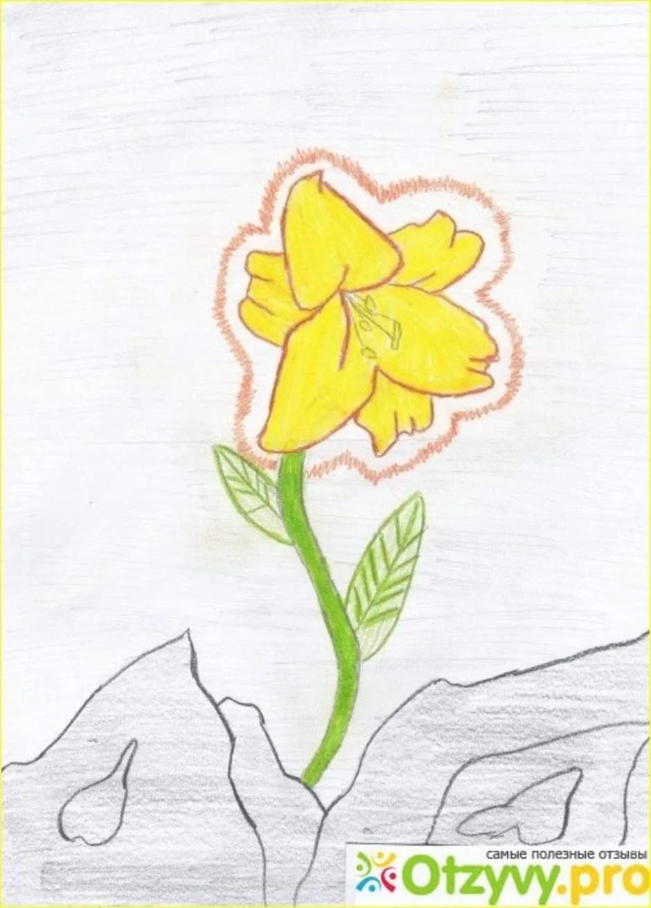 Произведение неизвестный цветок 6 класс