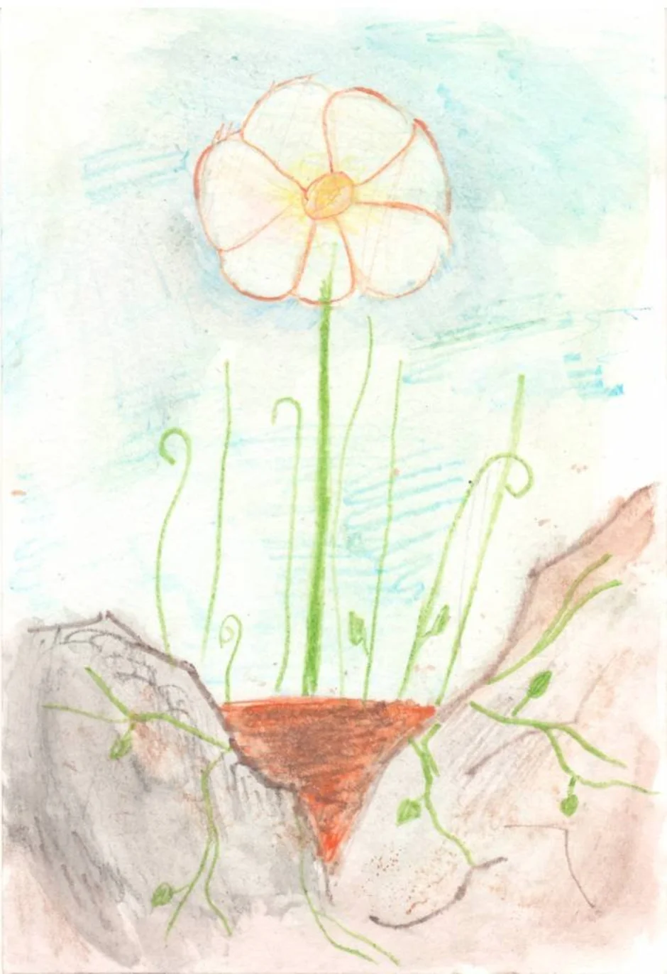 Мысль рассказа цветок на земле. Платонов а. "неизвестный цветок". Неизвестный цветок Платонов рисунок. Иллюстрация к неизвестный цветок Платонов 6 класс. Нарисовать неизвестный цветок Платонов.