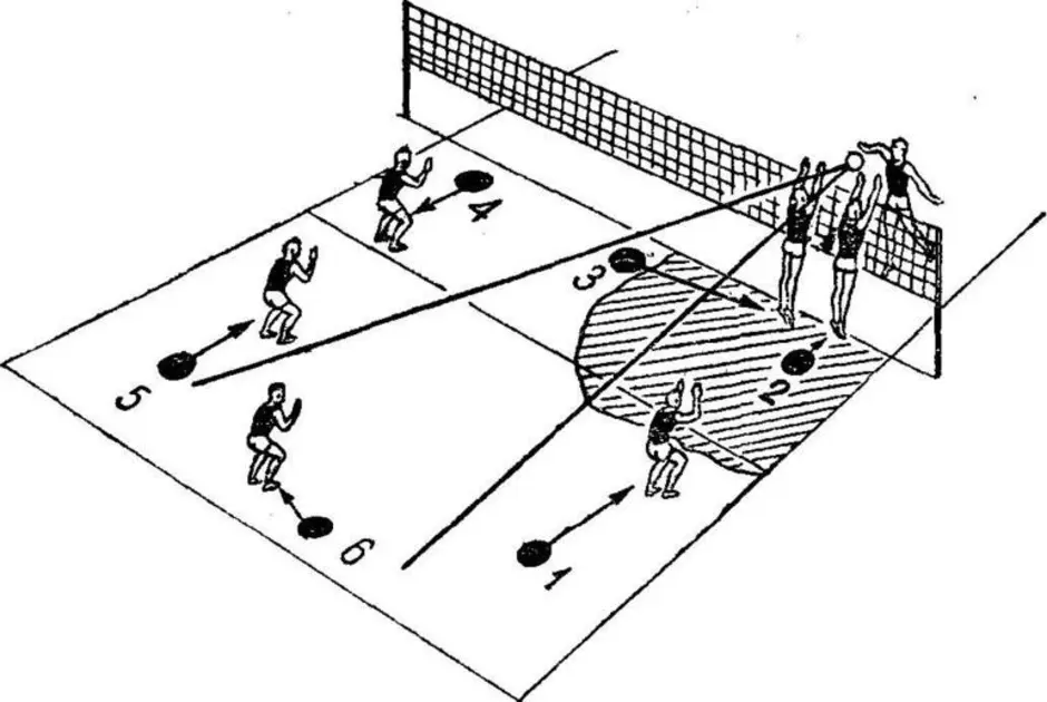 Волейбол расстановка игроков на площадке схема