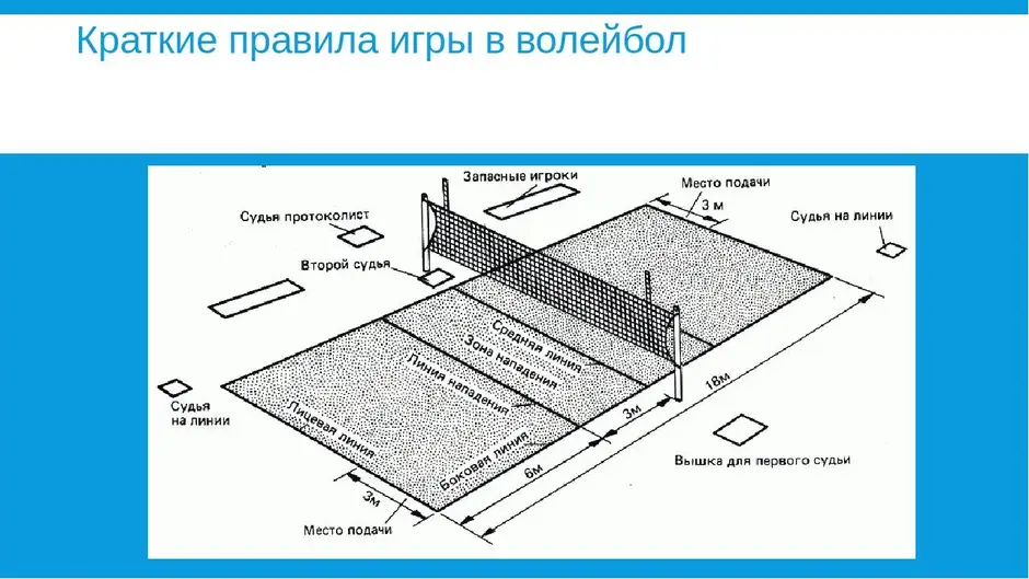 Какие линии не относятся к волейбольной площадке. Волейбольная площадка рисунок. Разметка волейбольного поля. Размеры и линии волейбольной площадки.