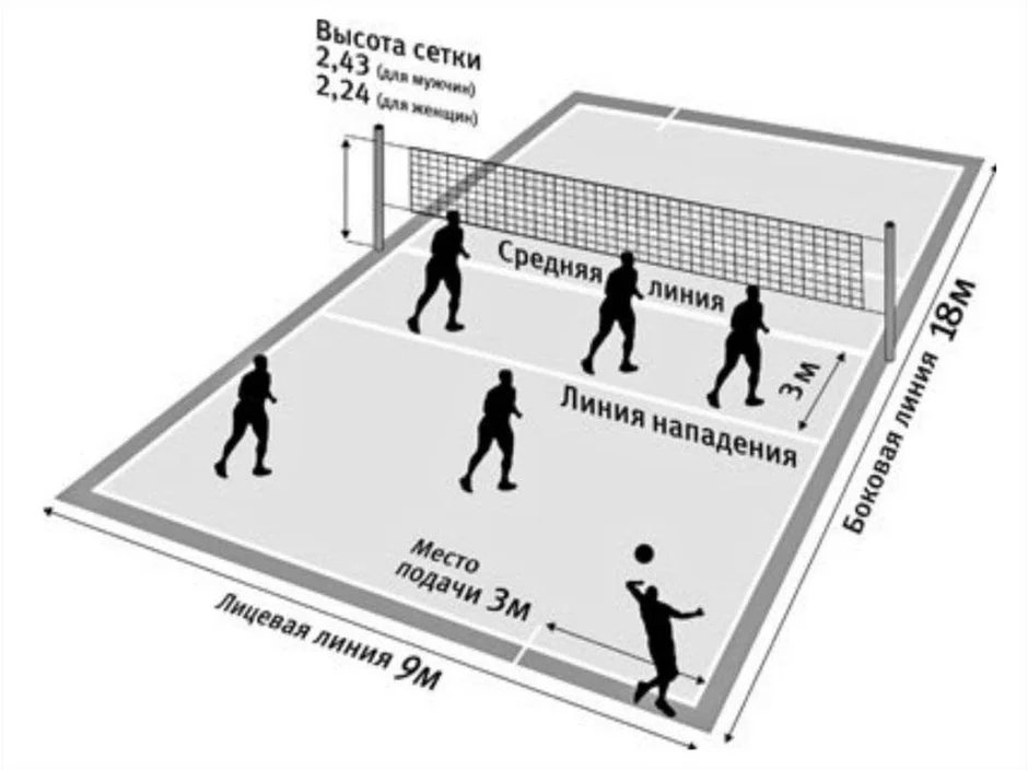 Волейбольное поле нарисовать