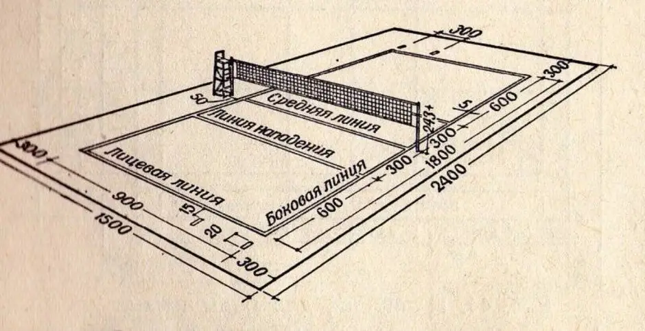 Волейбольная площадка вид сверху чертеж