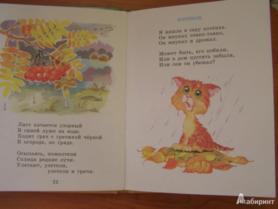 Рифмы в стихотворении котенок благинина