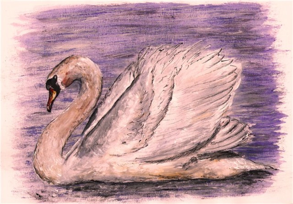 Есенин лебедушка иллюстрации. Лебёдушка Есенин 4 класс. Лебедь рисунок. Лебедь карандашом. Лебёдушка рисунок.