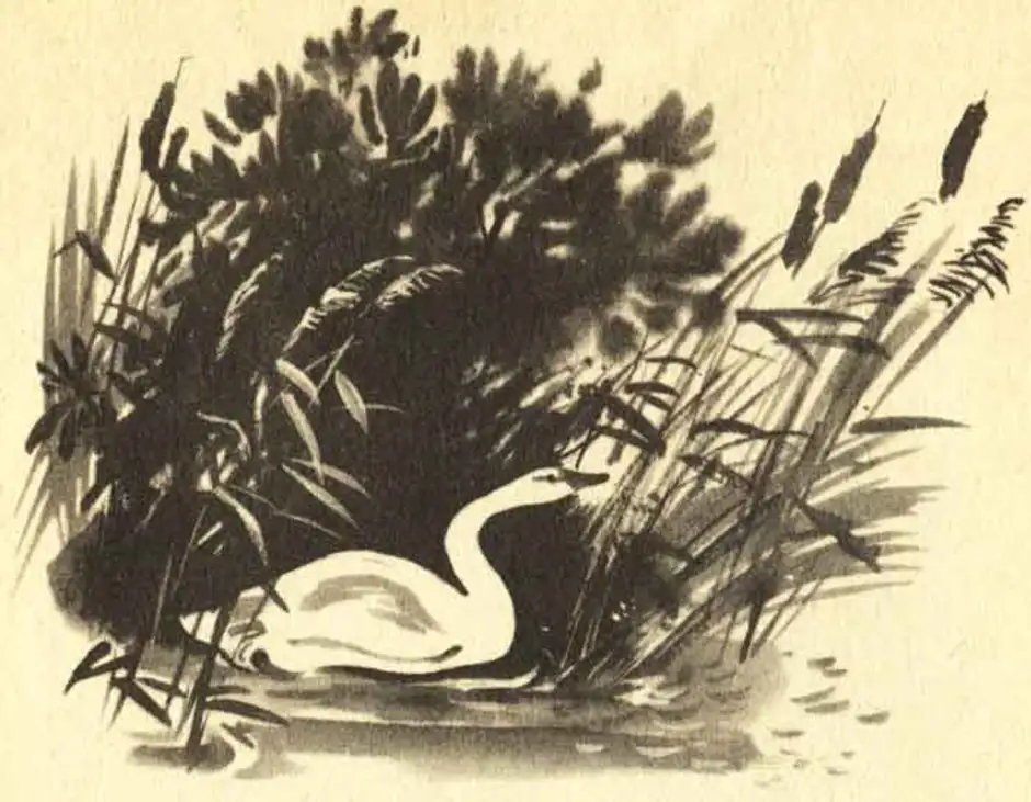 Лебедушка есенин аудио