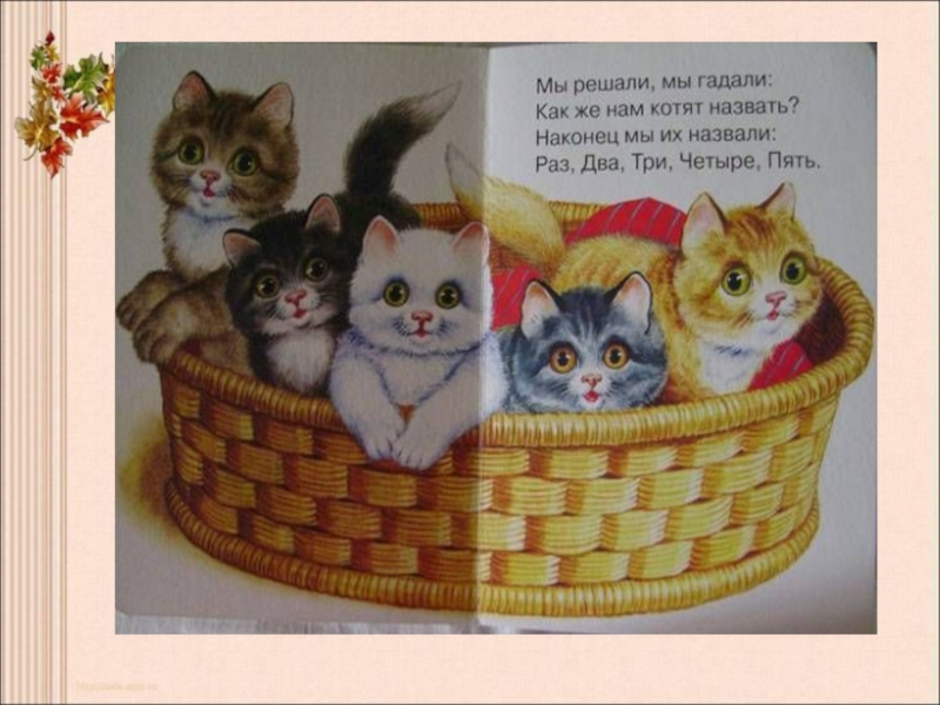 У маши живут 5 котят. 5 Котят Михалкова. Св Михалков котята.