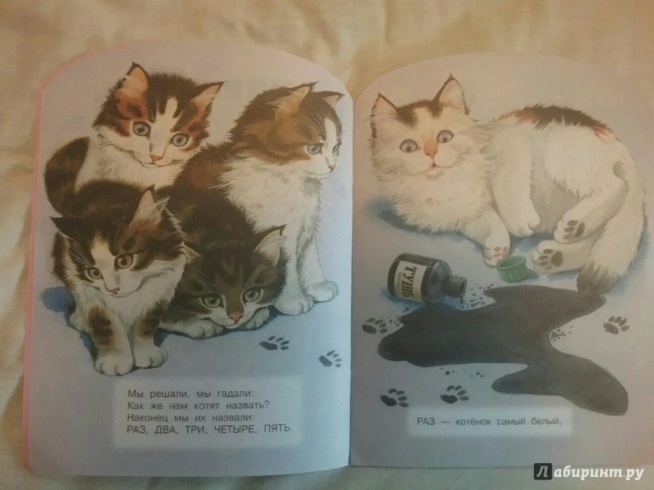 Котята михалкова читать. Иллюстрации котят из книги.