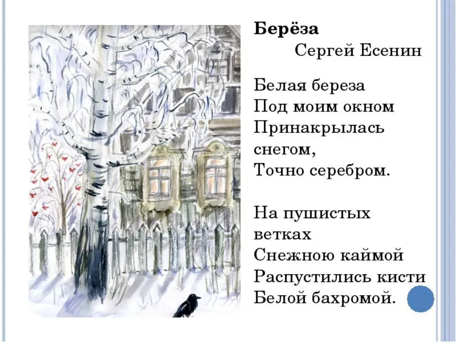 Береза есенин рисунок