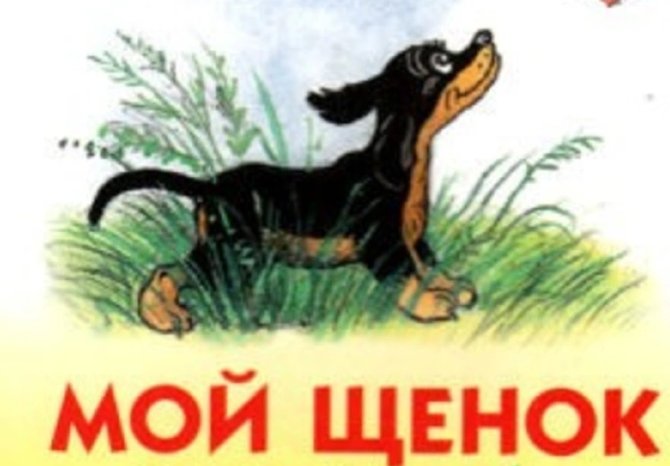 Мой щенок. Сергей Михалков щенок иллюстрации. Михалков Сергей Владимирович 