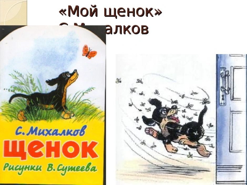 Мой щенок. Сергей Михалков щенок иллюстрации. Сергей Михалков щенок. Сергей Михалков 