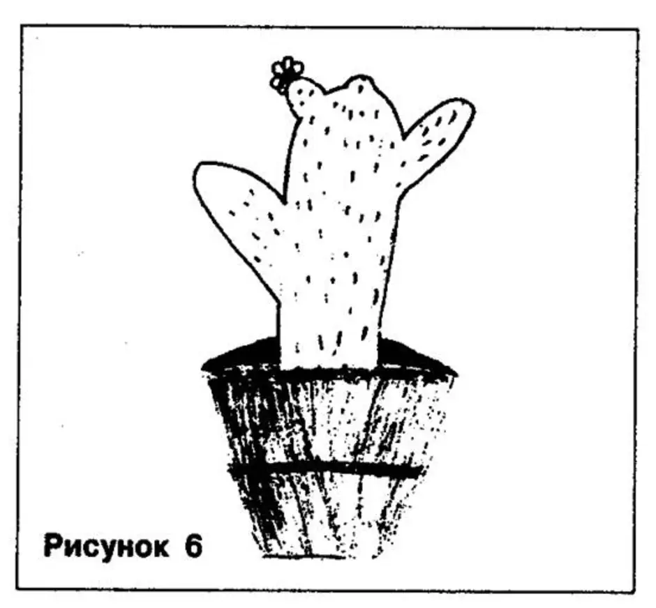 Кактус рисунок тест интерпретация