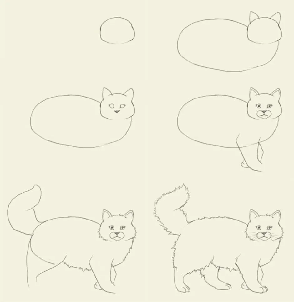 Котенок карандашом поэтапно. Поэ апное рисование кошки. Поэтапное рисование кошки. Поэтапное рисование кошки карандашом. Поэтапное рисование кошки для детей.