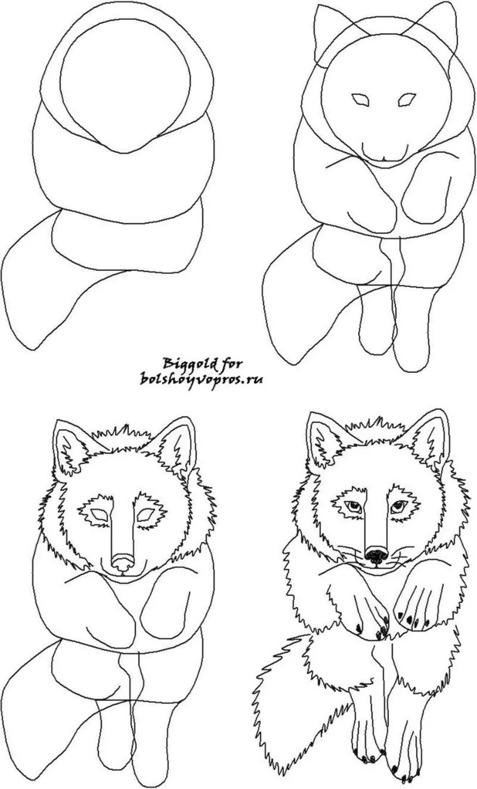 Волк поэтапно для детей. Поэтапное рисование волка. Схема рисования волка. Пошаговое рисование волка. Волк рисунок поэтапно.