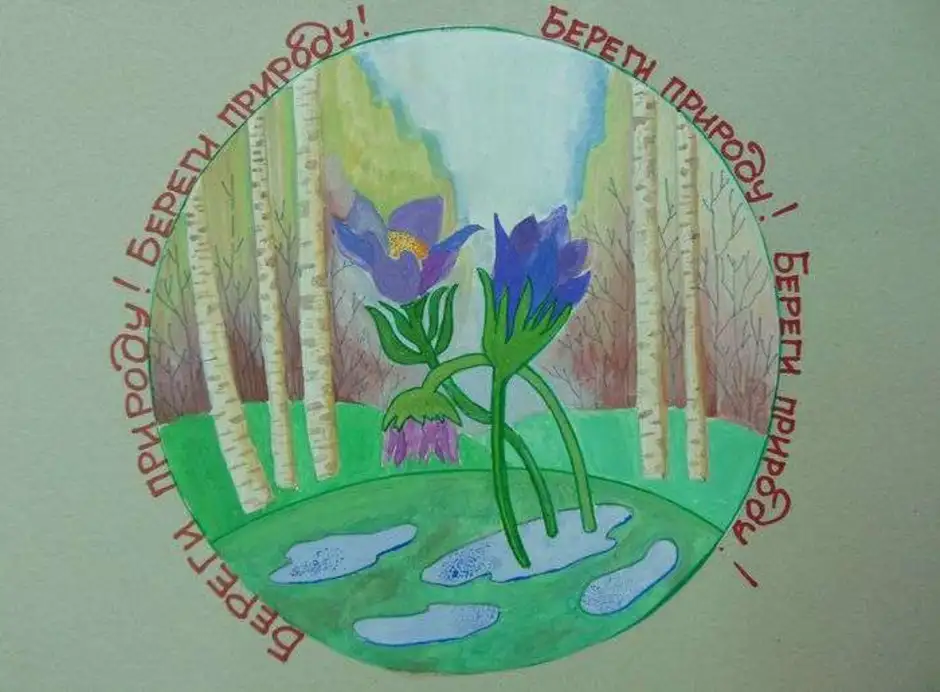 Плакат первоцветы. Берегите растения. Плакат в защиту первоцветов. Рисунок на тему охрана растений. Плакат береги растения.