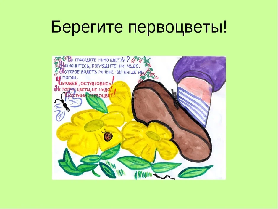 Берегите цветы картинки