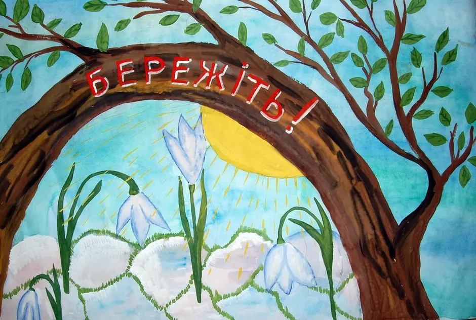 Рисунки береги первоцветы