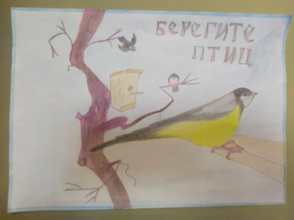 Рисунок берегите птиц. Берегите птиц рисунок. Плакат на тему птицы. Плакат берегите птиц. Рисунки ко Дню птиц в детском саду.