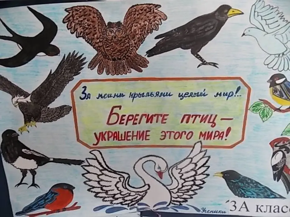 Рисунок встречаем пернатых. Плакат берегите птиц. Плакат на день птиц. Плакат по защите птиц. Плакат на тему защита птиц.