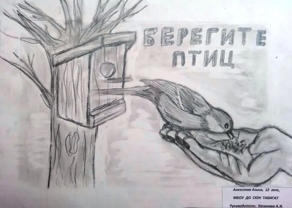 Рисунок берегите птиц. Плакат берегите птиц. Плакат на тему берегите птиц. Берегите птиц рисунок. Плакат Защитим птиц.