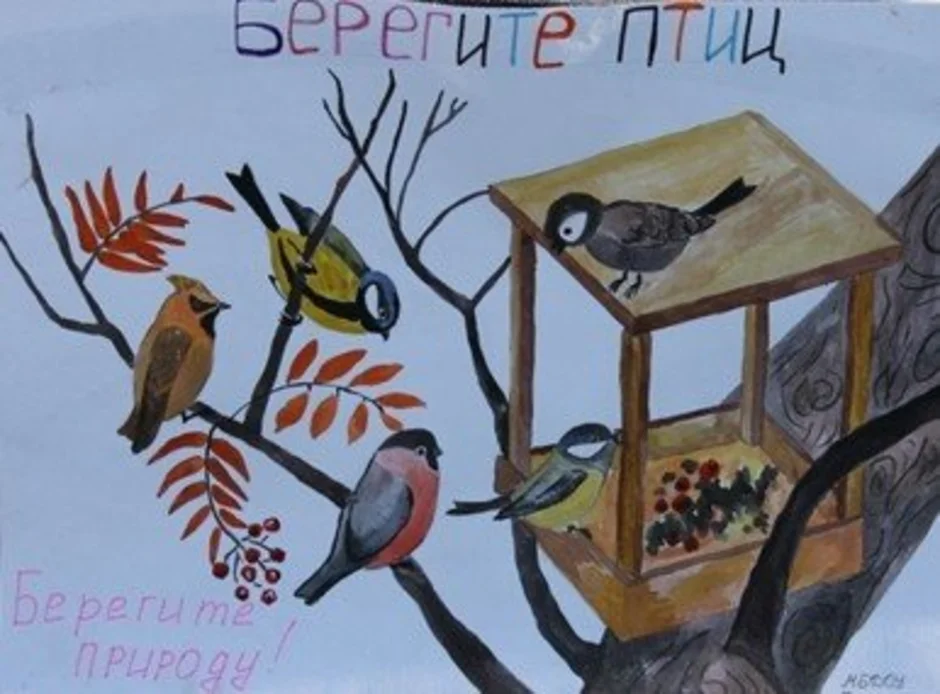 Рисунок берегите птиц. Плакат берегите птиц. Плакат в защиту птиц. Рисунок на тему защита птиц. Берегите птиц рисунок.