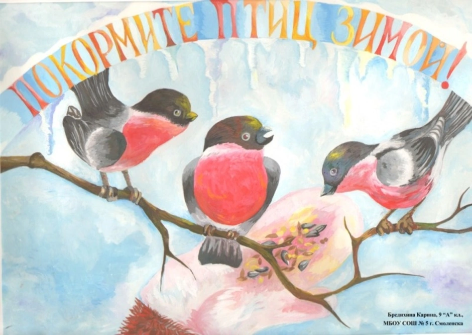Рисунок берегите птиц. Рисунок на тему птицы. Рисунок ко Дню птиц. Плакат в защиту птиц. Плакат на день птиц.