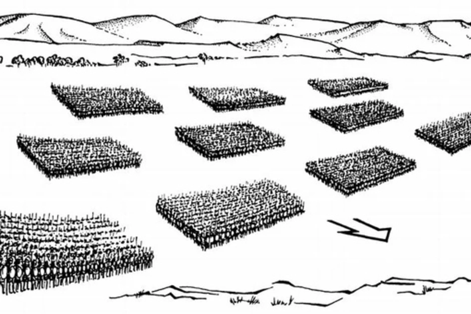 Схема построения римского легиона