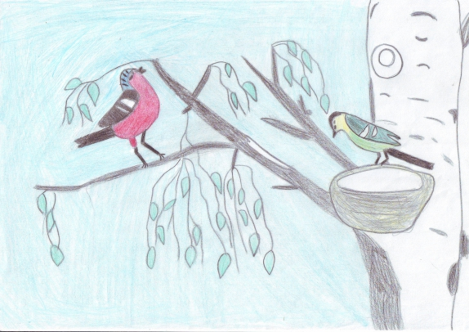 Рисунок встречаем пернатых. Рисование на тема птицы наши друзьч. Рисунок на тему птицы наши друзья. Изо пернатые друзья. Встреча пернатых друзей.