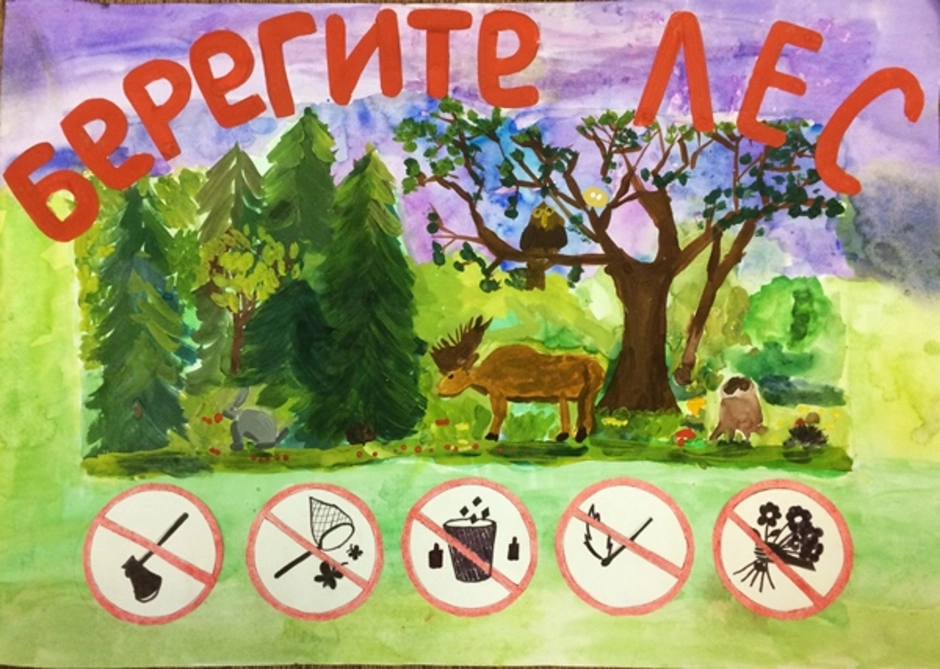 Проект береги лес. Экологический плакат. Плакат на тему защита природы. Рисунок на тему защита леса. Плакат охрана леса.