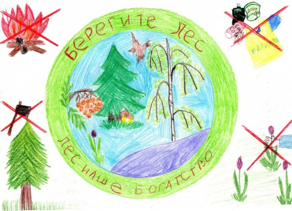 Конкурс друзья природы. Рисунки по защите природы для детей. Лес наше богатство рисунки. Рисунок на тему лес. Рисунки о защите природы для школьников.