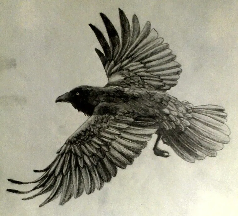 Читать под крылом ворона. Ворон линогравюра. Татуировка ворон Хугин. Ворон с распахнутыми крыльями. Ворона с расправленными крыльями.