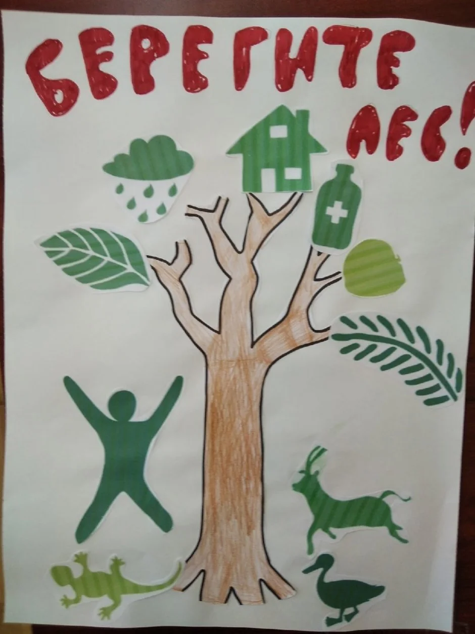 День леса плакат. Международный день лесов рисунок. День леса в детском саду. Рисунок про день в лесу. Международный день леса в ДОУ.