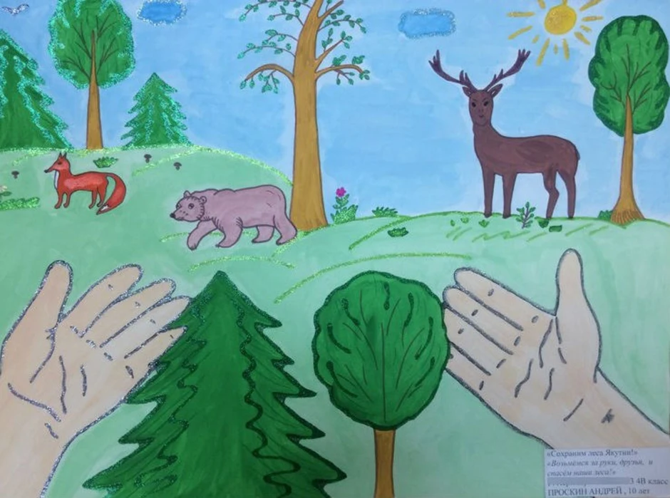 Главный интерес в жизни. Лес рисунок. Рисунок на тему природа. Рисунок на тему лес. Рисунок леса для детей.