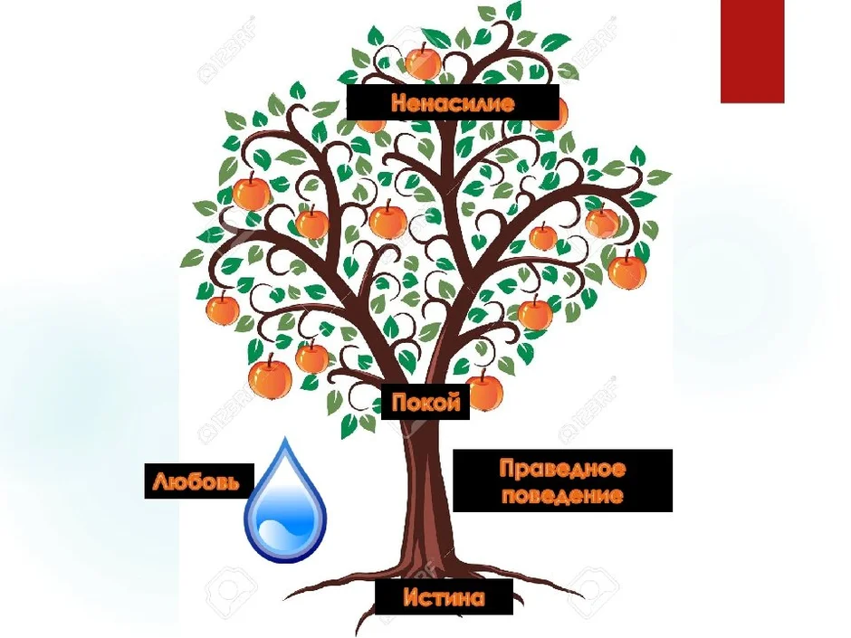 Общечеловеческие ценности картинки