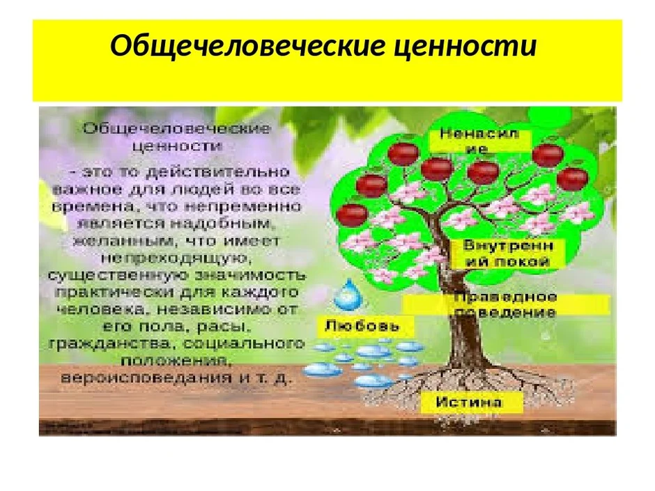 Общечеловеческие ценности презентация