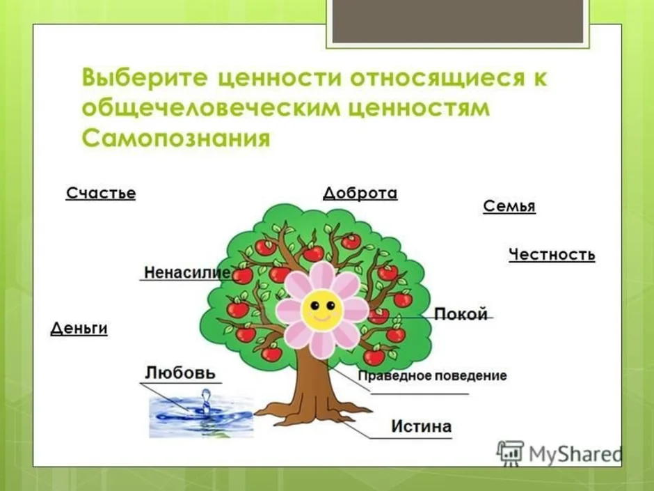 Общечеловеческие ценности картинки