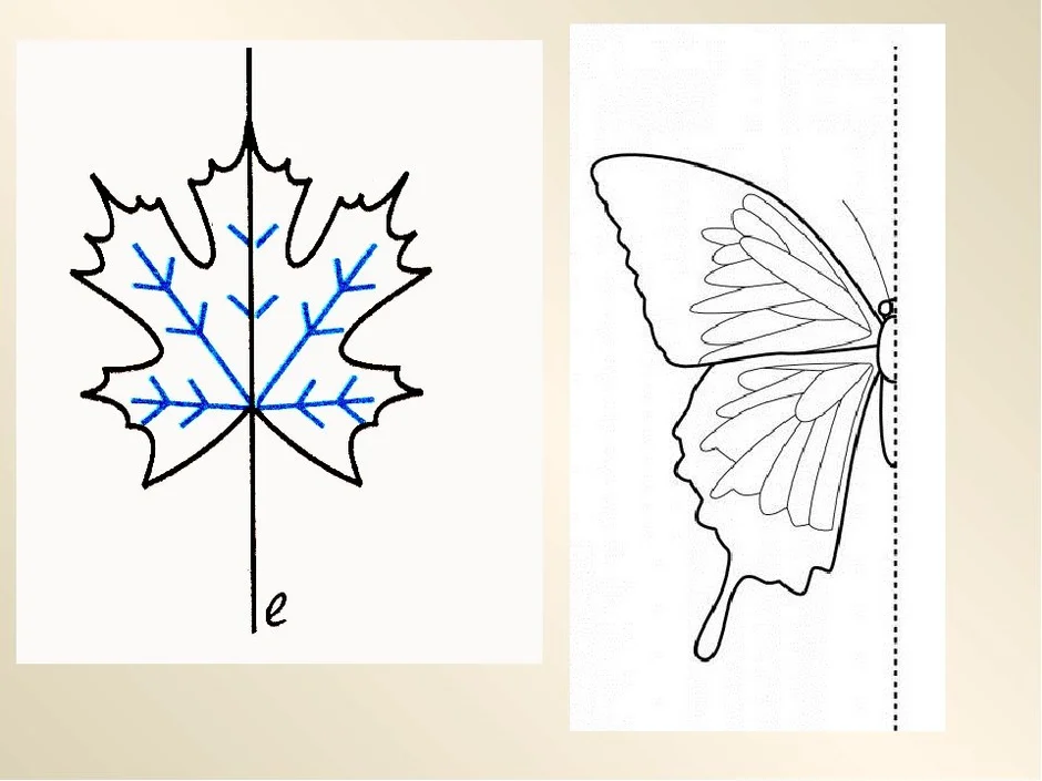 Картинки с осевой симметрией для 6 класса