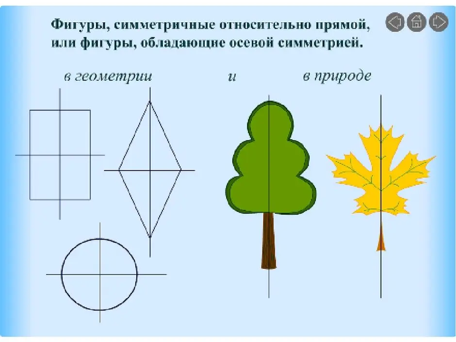 Симметрия осевая симметрия презентация 6 класс