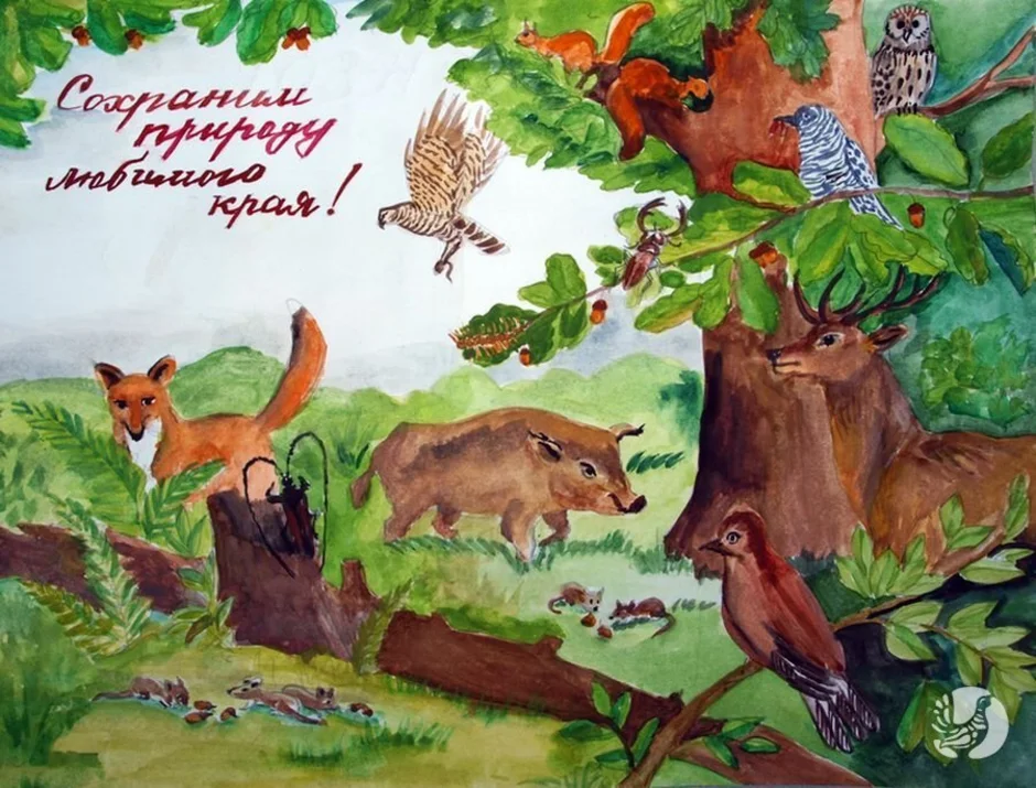 В защиту родной природы. Плакат природа. Мир заповедной природы рисунки. Заповедник иллюстрация. Защита природы животные.
