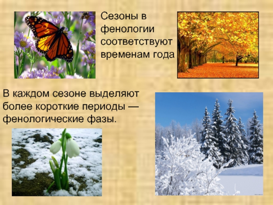 Сезонные изменения организмов зимой
