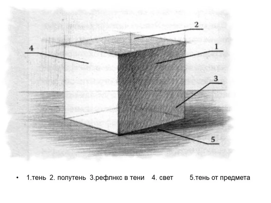 Тени в рисунке