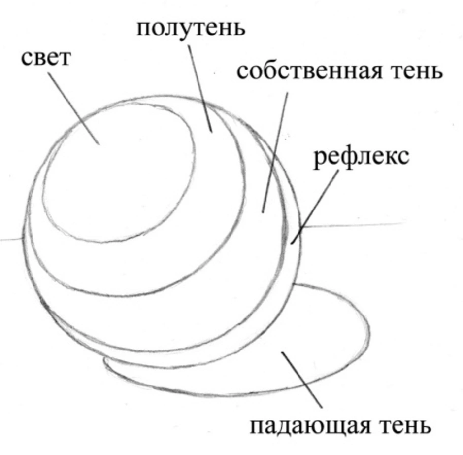 Конструктивный рисунок шар