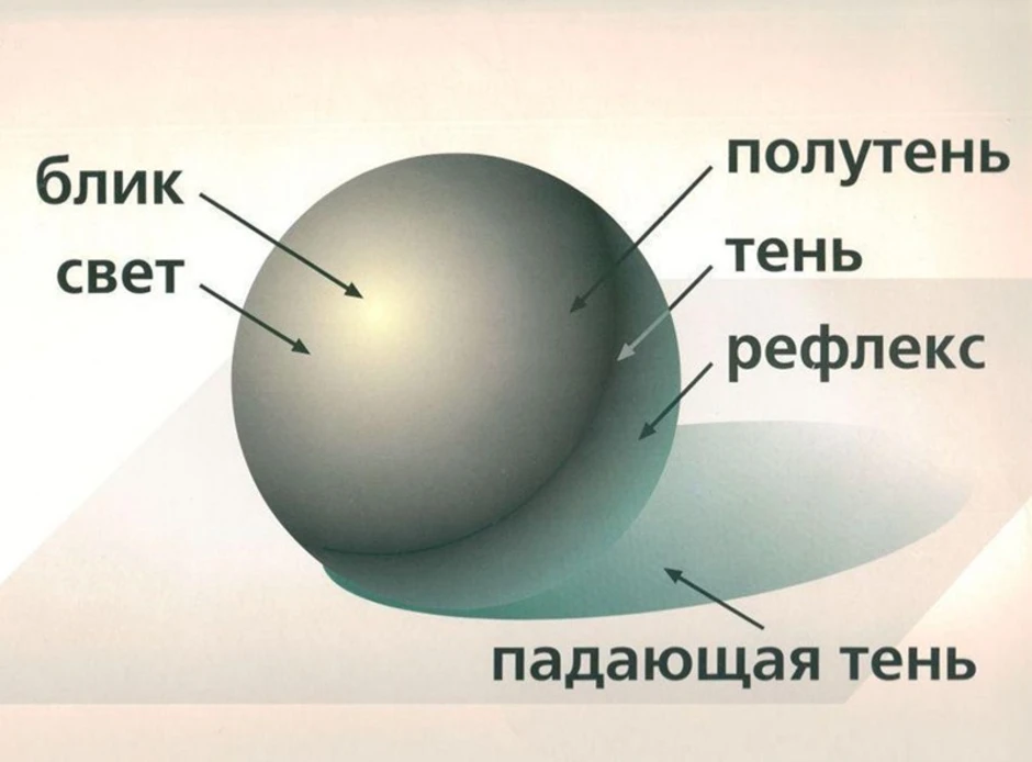 Определите по рисунку какая точка лежит в области света и тени