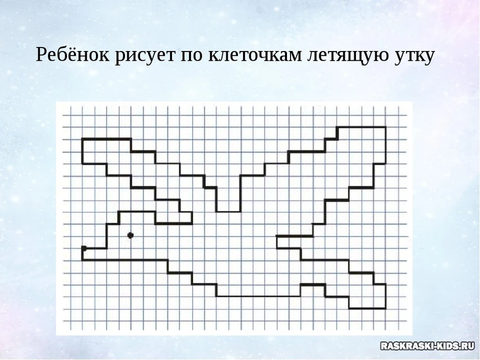 Чертеж по клеточкам 5 класс