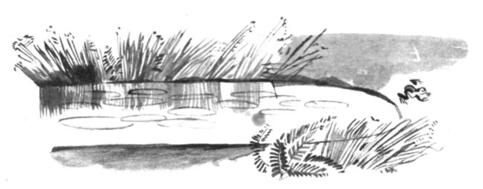Васюткино озеро нарисовать легко. Васюткино озеро. Иллюстрация к произведению Васюткино озеро. Иллюстрация к рассказу Афанасьева Васюткино озеро. Иллюстрация к сказке Васюткино озеро 5 класс.