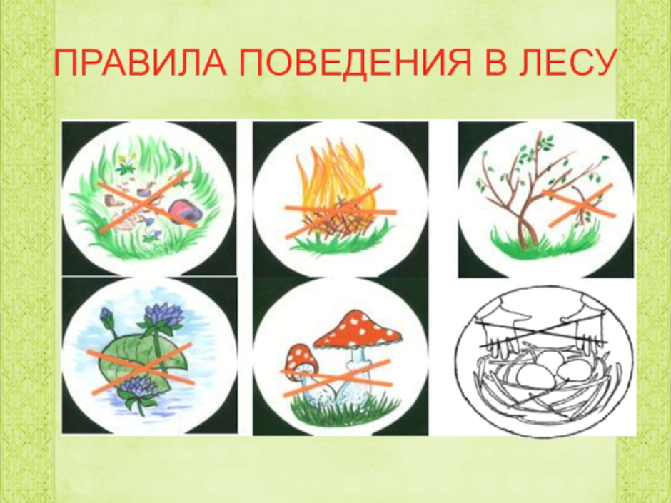 Охрана леса правила. Правила поведения в лесу. Схема правил поведения в лесу. Знаки защиты природы для детей. Рисование правил поведения в лесу.