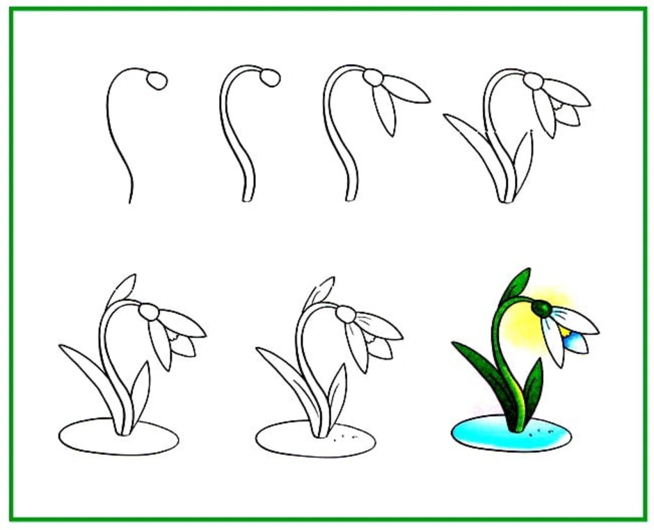 Как рисовать первоцветы поэтапно для детей