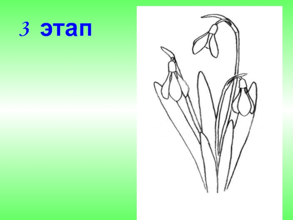 Рисуем подснежники поэтапно 1 класс презентация