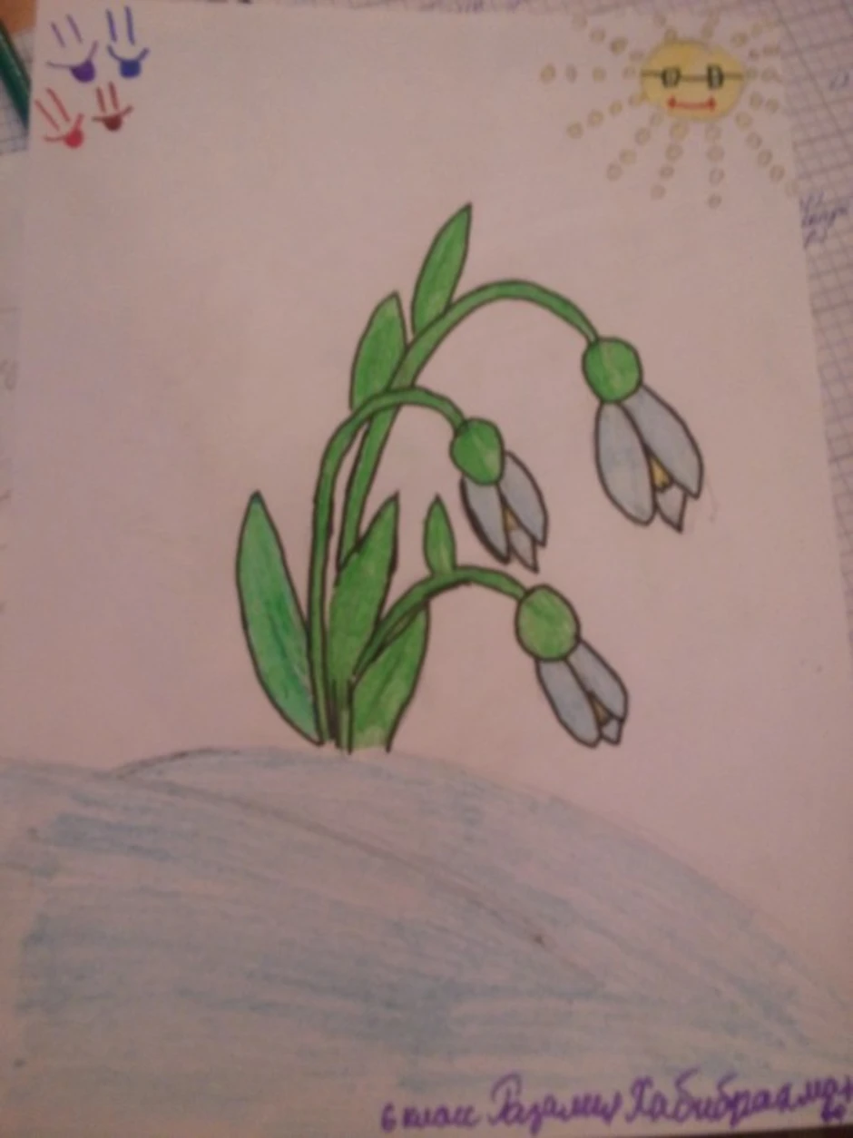 Нарисовать подснежник 1 класс. Рисование подснежники. Рисование первые цветы. Рисование первоцветы. Поэтапное рисование подснежника.